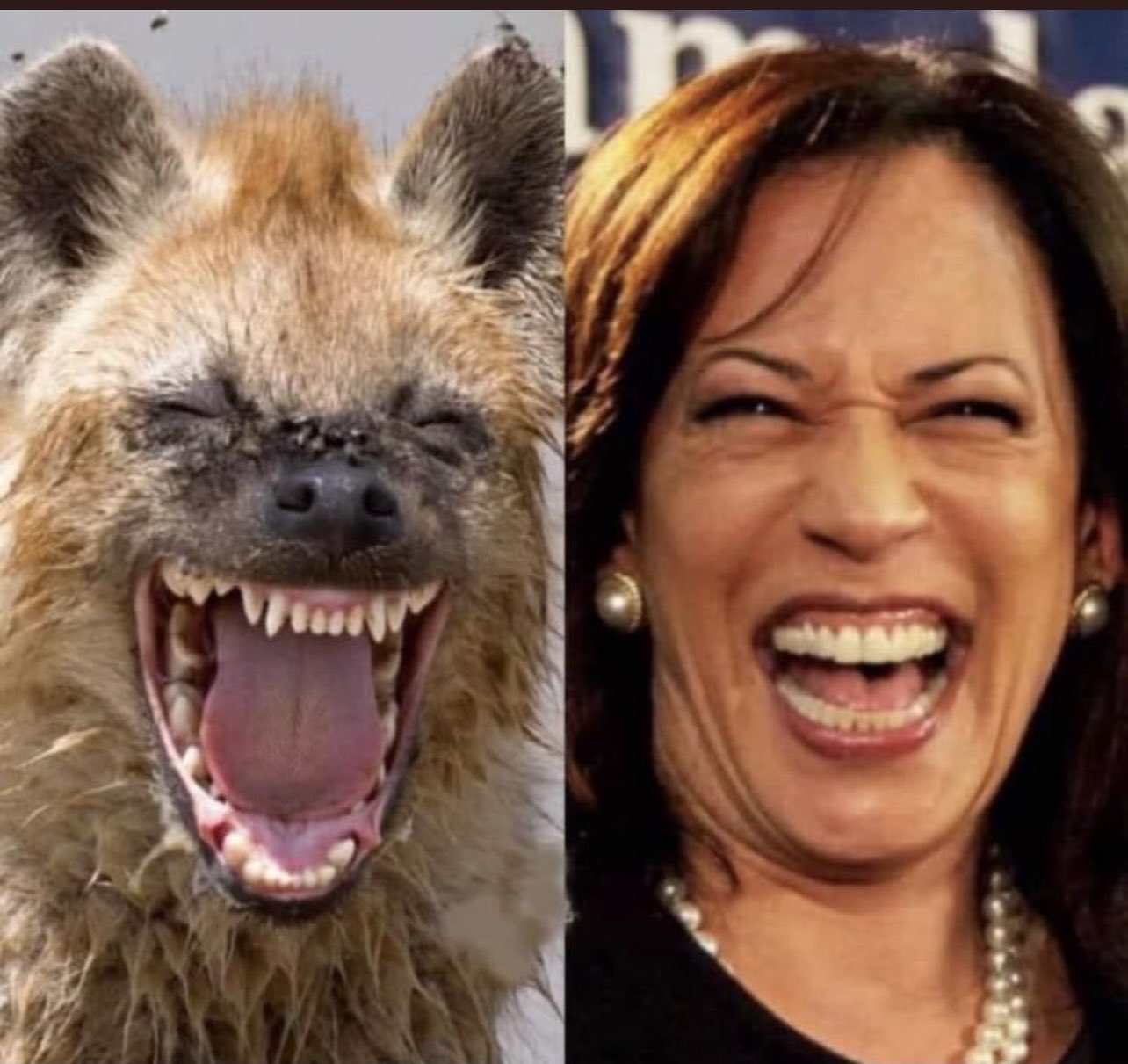 kamala-beast.jpg