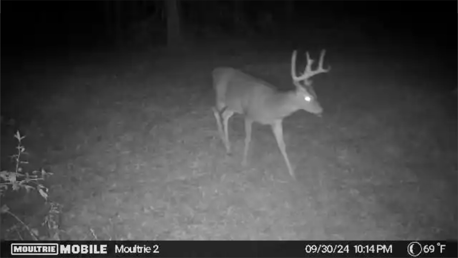 Moultrie Mobile2_9-30-24.jpg