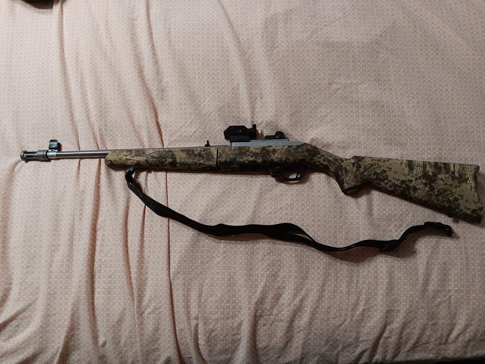 Ruger 10 22 TD Final Mods (1) Small.jpg