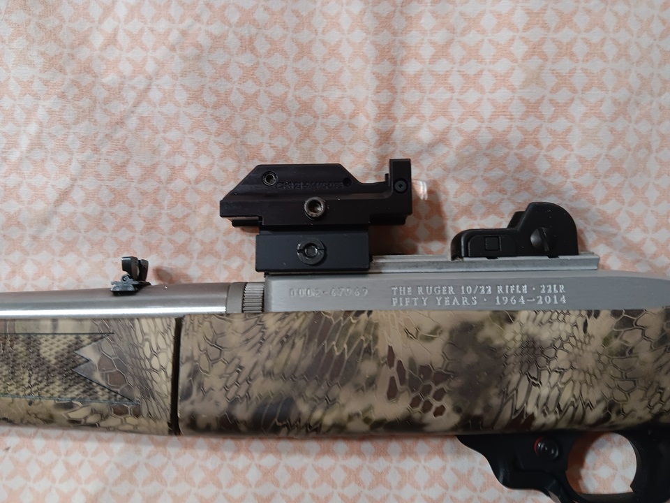 Ruger 10 22 TD Final Mods (3) Small.jpg