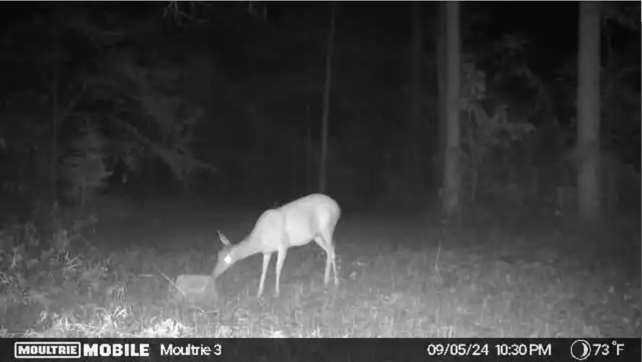 Screenshot 2024-09-11_Moultrie3B.jpg