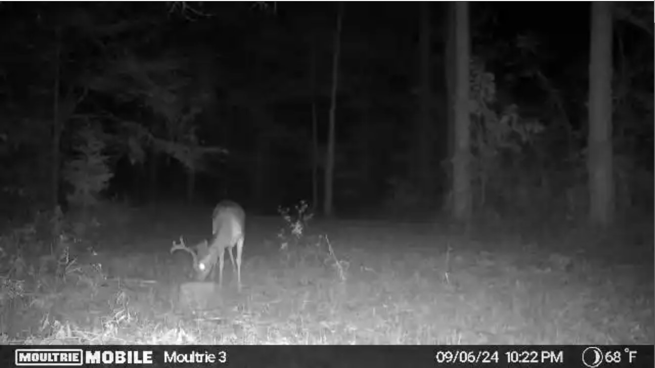 Screenshot 2024-09-11_Moultrie3C.jpg