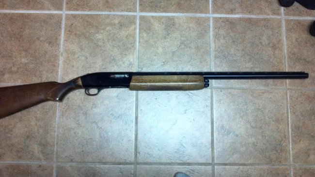 Mossberg 5500 semi auto.jpg