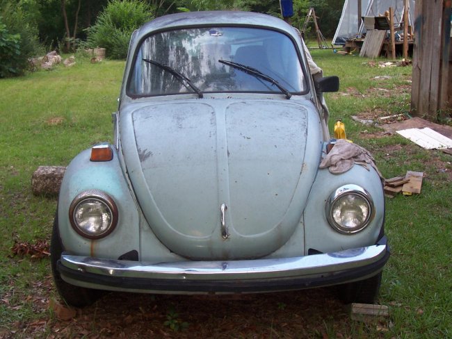 Beetle For Sale 007.jpg