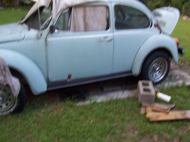 Beetle For Sale 008.jpg