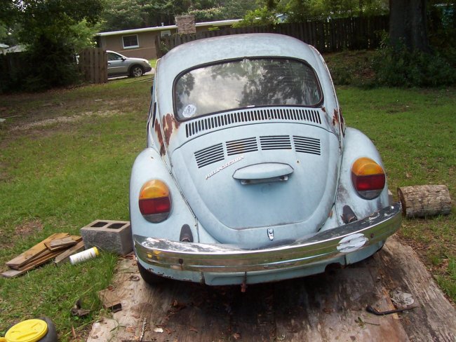 Beetle For Sale 013.jpg