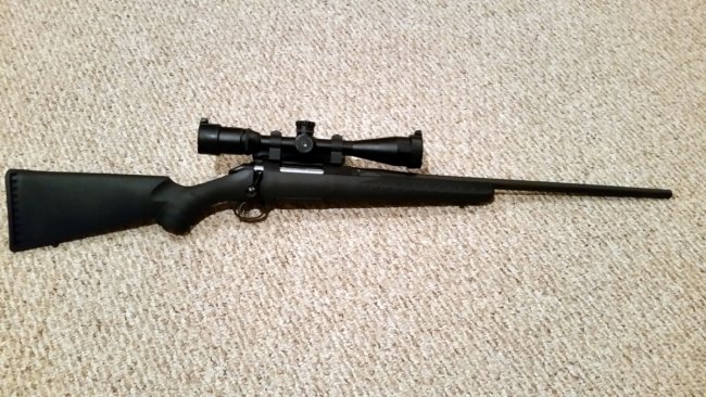 Ruger American 308.jpg