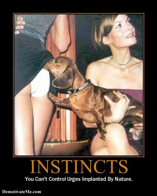 natural-instincts-demotivational-poster.jpg