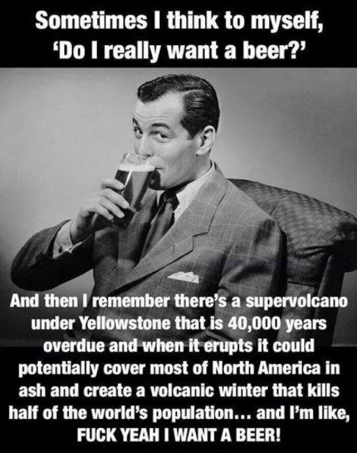 Sometimes-I-think-to-myself-do-I-really-want-that-beer-meme.jpg