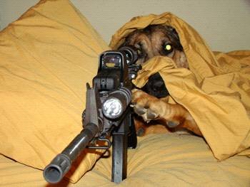 SniperDog (4).jpg