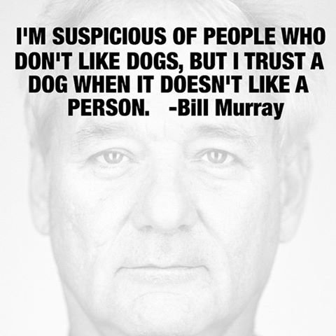 bill murray.jpg