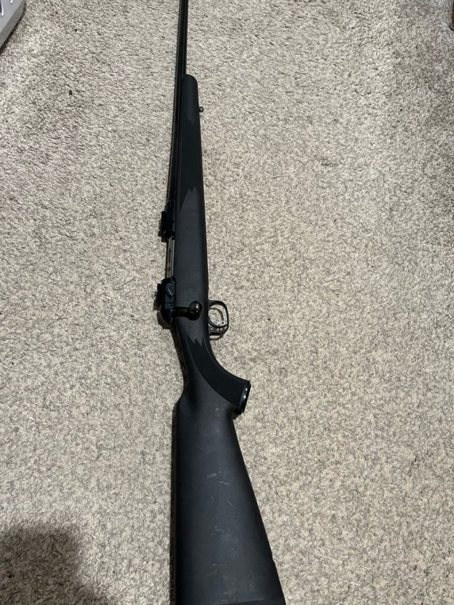 Savage model 11 22-250 