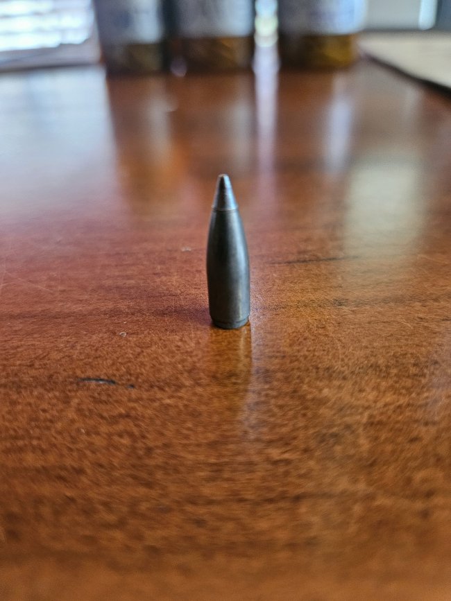 Nosler 39522  .22 cal  bullets