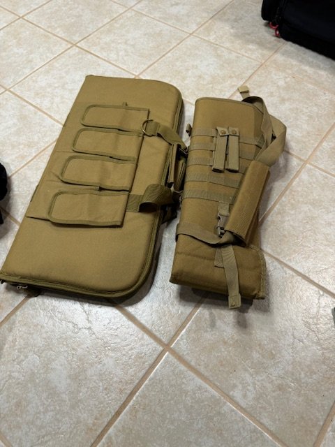 Gun scabbard and case