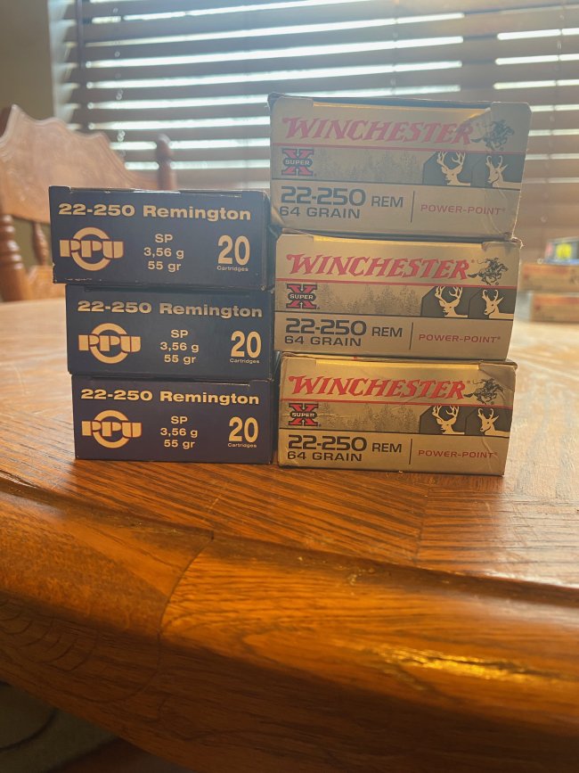 22-250 REM Ammo 6 boxes