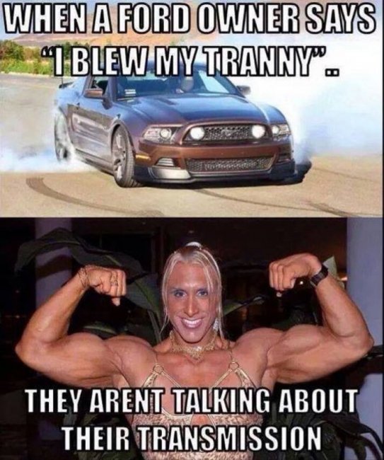 Ford-owner-says.jpg