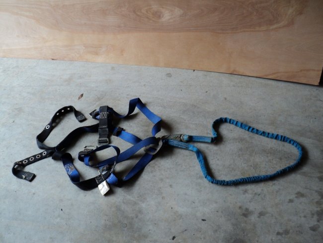 harness1.jpg