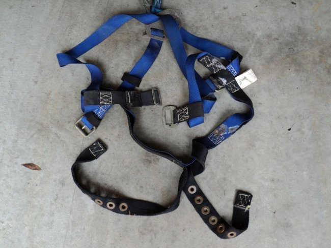 harness2.jpg