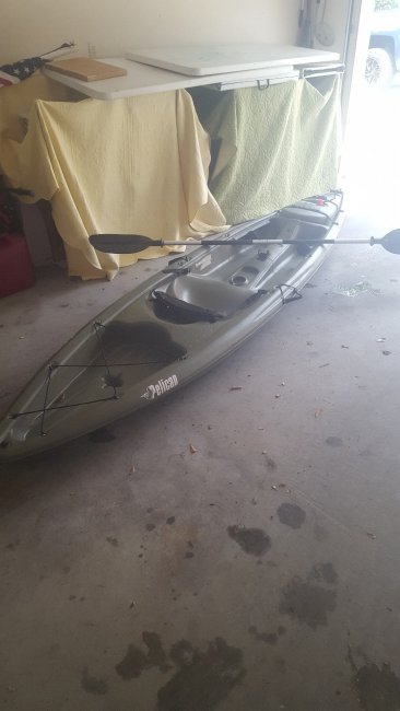 kayak3.jpg