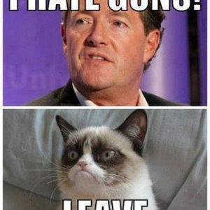 Grumpy Cat & Guns