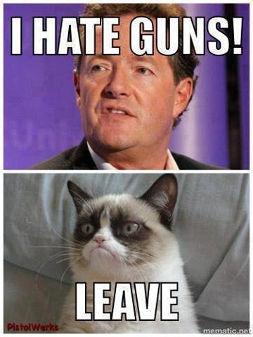 Grumpy Cat & Guns